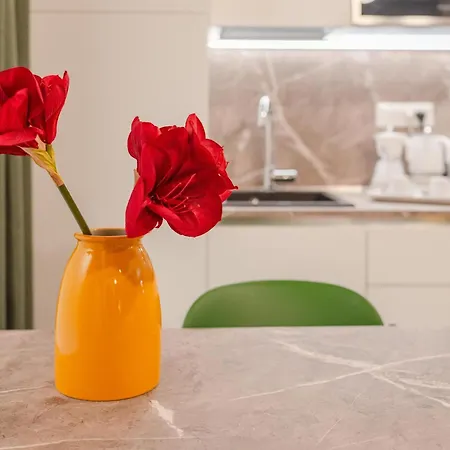 Arabesque By Toh Solution Turin